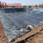 Modern Design Style 1mm HDPE Geomembrane Liner Customized for Tunnel Lining