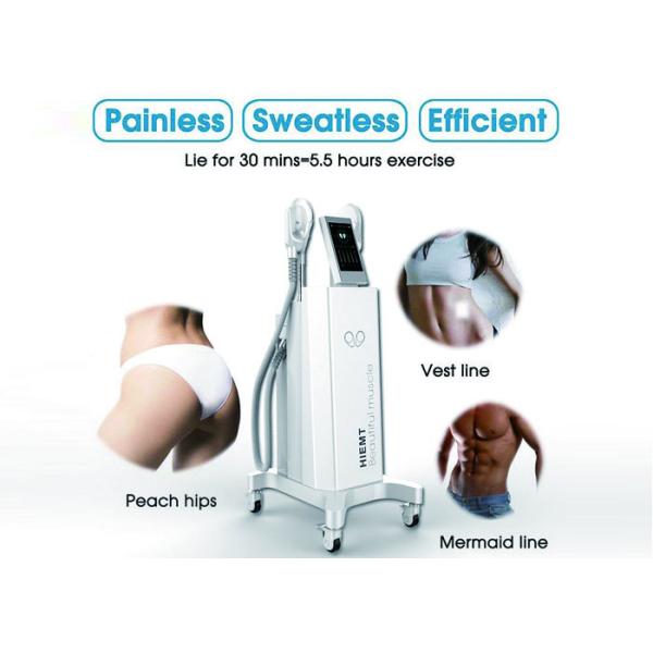 2.3KVA 300us 10MHZ HIEMT EMS Muscle Stimulator Machine