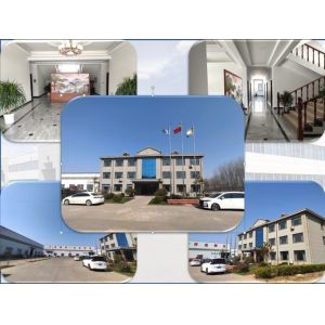 Qingdao Changyue Plastic Machinery Co., Ltd.