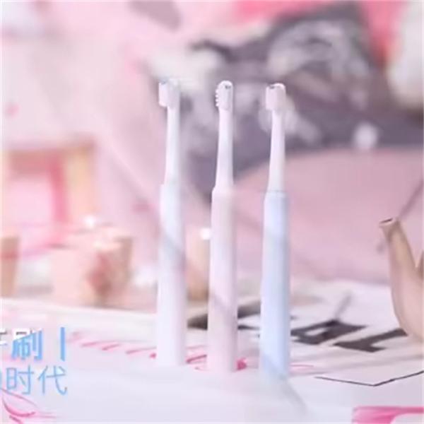 Smart Sonic Whitening Dupont Soft Brush Rechargeable SN301 Electric Toothbrush