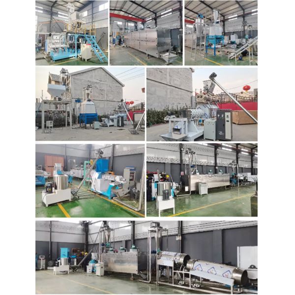 Twin Screw Pet Feed Extruder High Output Shrimp Fish Feed Pellet Extruder