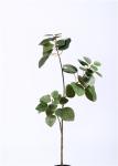 Pomegranate Artificial Tree Branches , Ideal Artificial Twig Branches Plastic