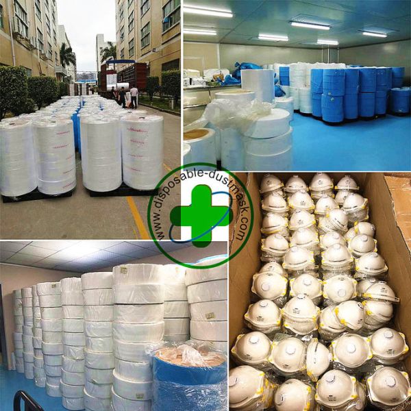 Individually Packaged Disposable Dust Mask Disposable Filter Safety Mask