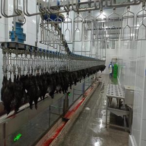 Automatic Small Poultry Abattoir Equipment Stainless Steel Chicken Mobile
