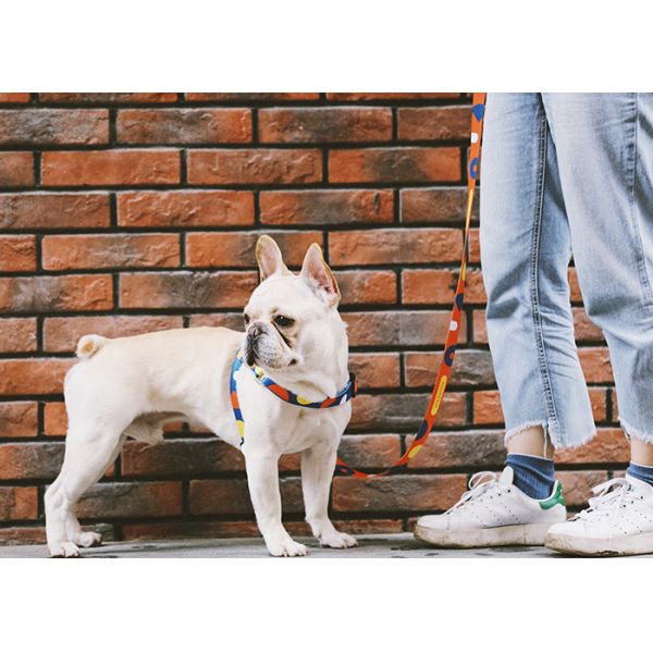 Comfortable Breathable Dog Harness Vest No Pull Adjustable Fantasy Pink Plaid Pet Leash