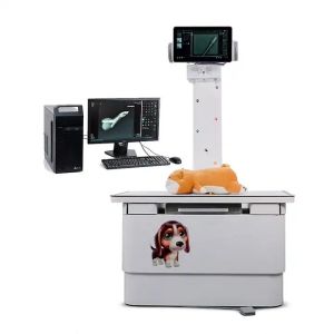 Quality Veterinary 4KW Xray Machine High Frequency 5kw Vet 70mA for sale