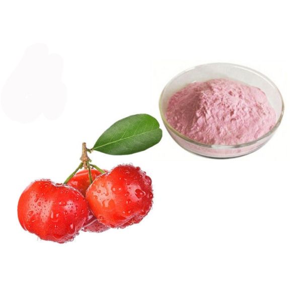 Buy Vitamin C 17% 25% Acerola Cherry Natural Fruit Extract Powder at wholesale prices