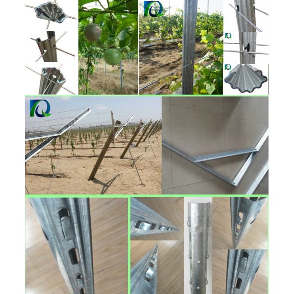 Strong Agricultural Vineyard Post 1.8MM X 2.5M C - Shaped And Metal Materials