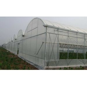Polythene PE Film Greenhouse Muitl Span Strong Applicability 200 Microns