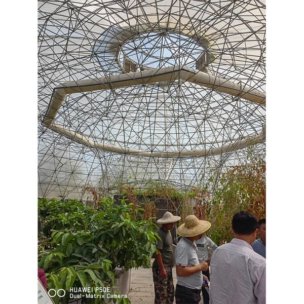 Film Surface Custom Garden Geodesic Dome Greenhouse Galvanized Steel with Grow Tent