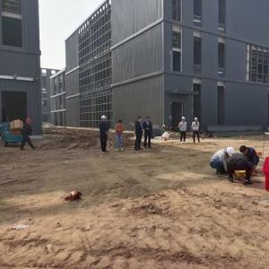 Quality Q355B Steel Frame Multi Story Steel Structure Office Building for sale