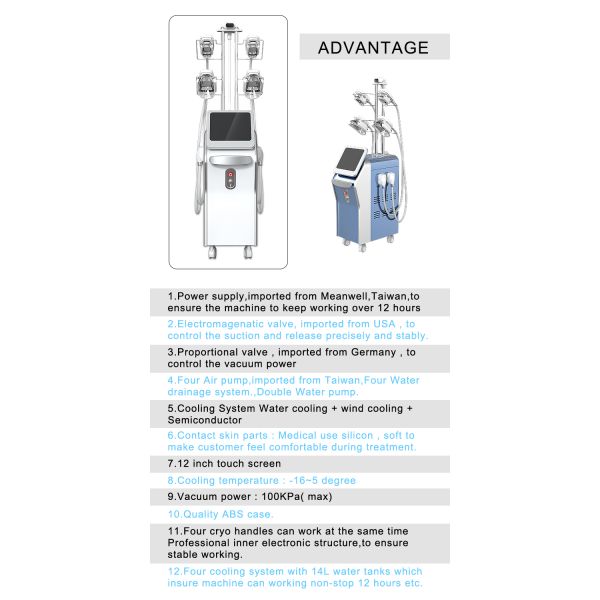 Vertical 4 Cryo Handles Work At The Same Time Cryolipolysis Device Body Sculpt Slimming