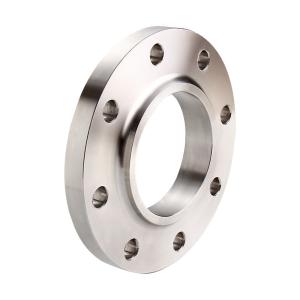 ASME Sanitary Steel Blind Flange