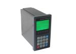 CE Approved Conveyor Weigh Feeder Controller Vertical Panel Mounting Operation