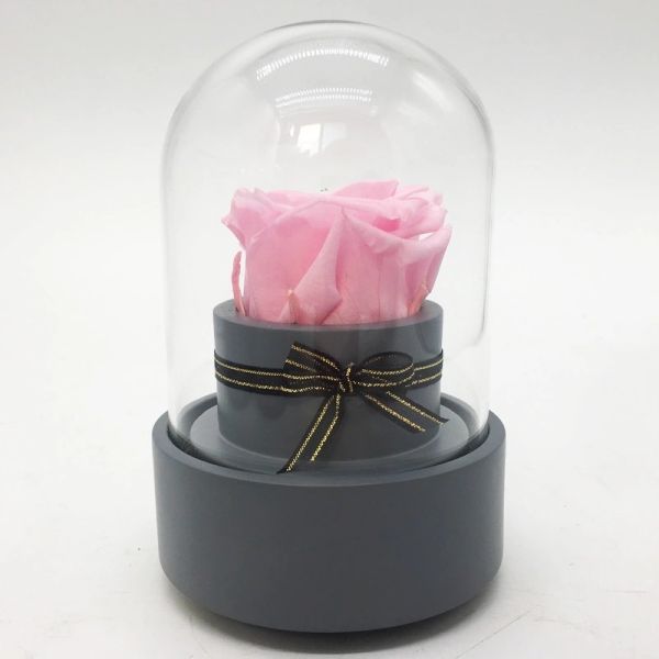 Long Lasting Preserved Roses In Bluetooth Music Glass Dome For Birthday/Anniversary/Valentinesday Gift