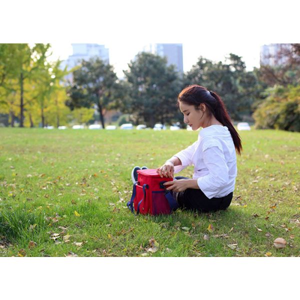 27x21x15 CM Student Lunch Bag , Insulated Thermal Bags With Aluminum Layer