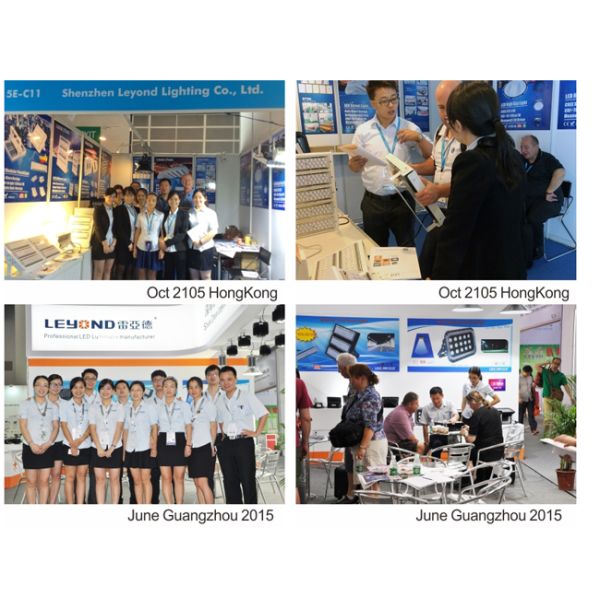 Luxeon 3030 Chip LED Lowbay Light