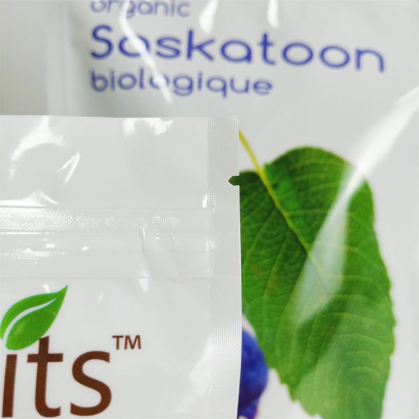 Food Grade Small Plastic Dry Fruits Packaging Pouch Custom Printed