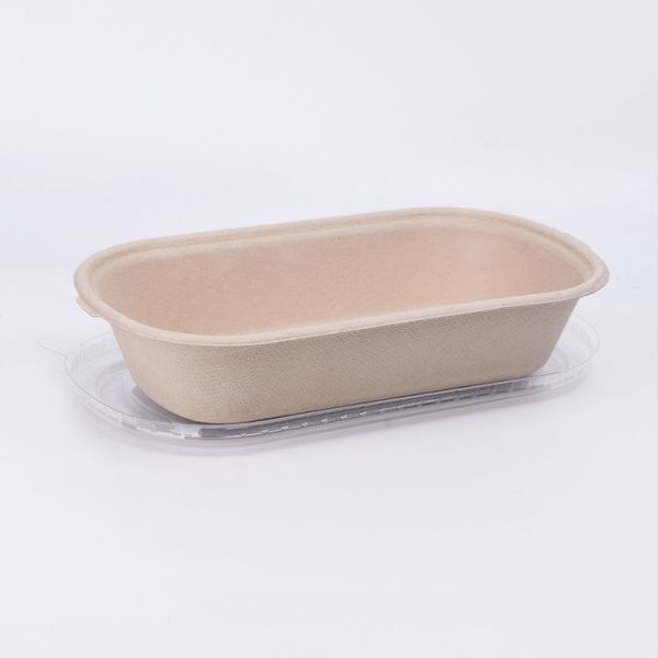 Buy Cheese Rectangular 1300ml Disposable Paper Soup Bowls Biodegradable Salad Food Container Bagasse Box With Lid Cover at wholesale prices