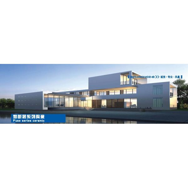 Wear Resistant Al2O3 Fuse Housing Custom Ceramic Parts