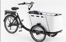 250W Kid / Cargo Electric Delivery Tricycle With Canopy