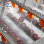 Fruit And Vegetable Wool Roller Bubble Cleaning Machine 1500KG/H