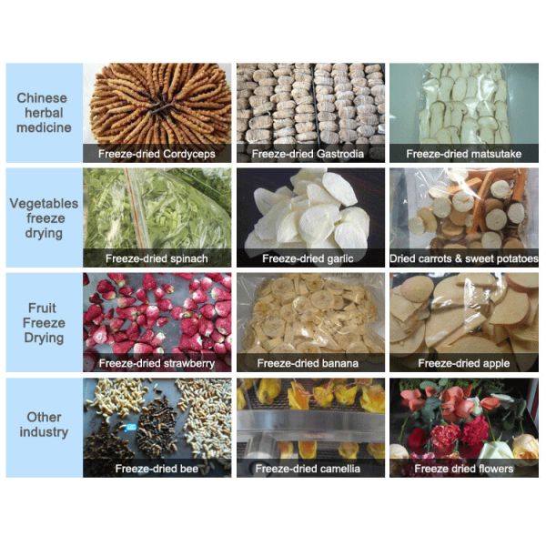 TOPT-10/12/18 Series Lab Freeze Dryer High Temperature and Pressure Control