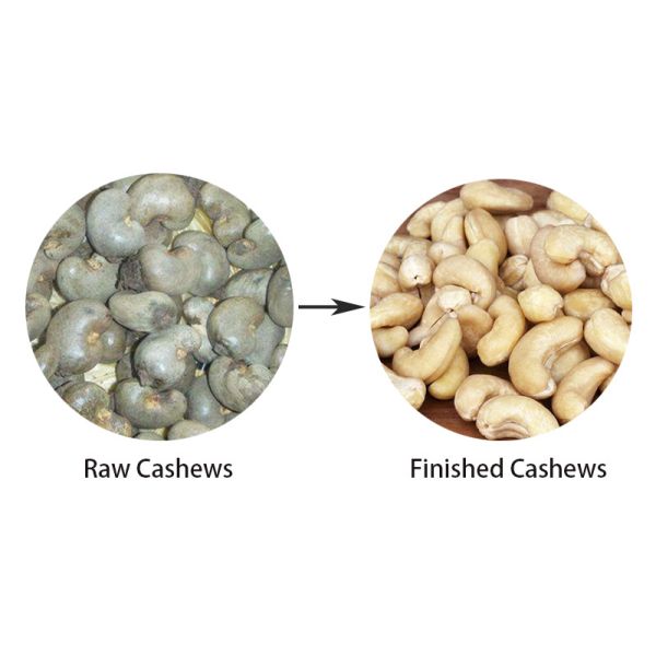 Fully Automatic Cashew Nuts Processing Machine 400kg Hour Food Factory