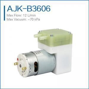 high flow micro vacuum pump