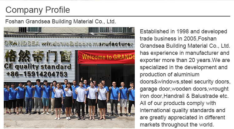 10 Year Warranty Wholesale Exterior Patio Grey Black Folding Aluminum Frame Glass 2+2 Open Bi Fold Door in China