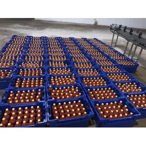 2TPH Tomato Paste Processing Line