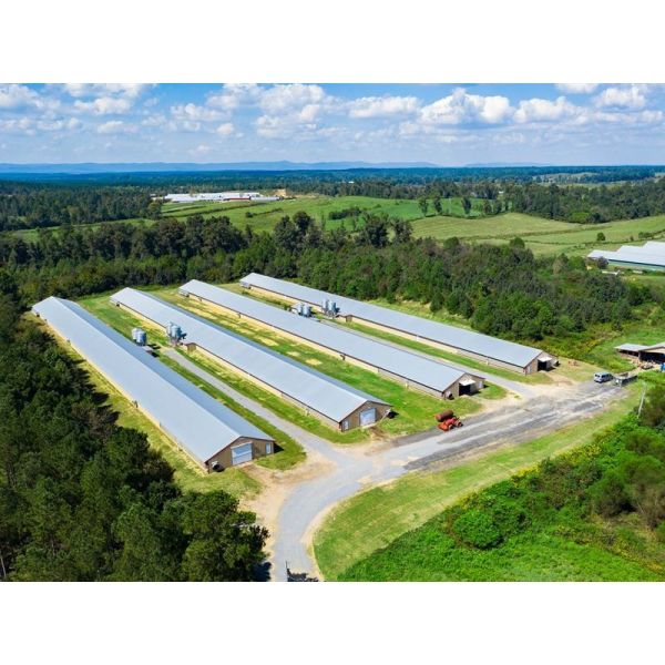 Prefab Steel Structure Chicken House Fireproof Farm Steel Frame Building