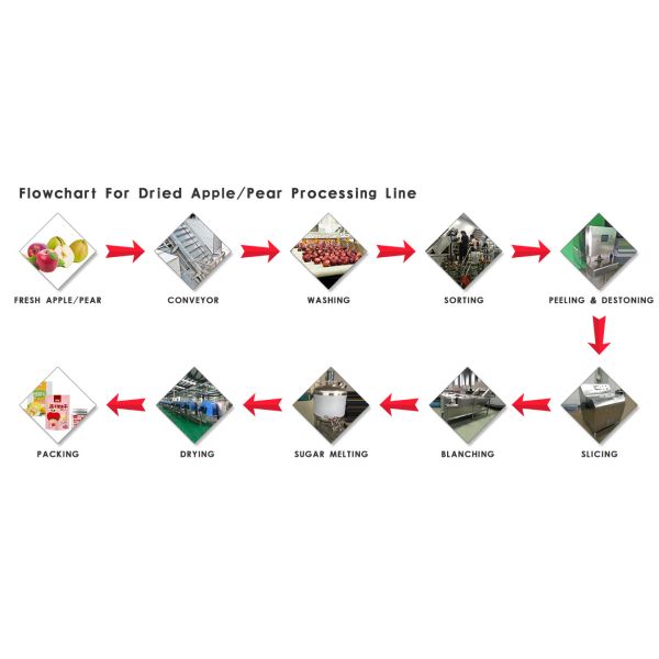 Durable Dried Fruit Processing Plant Dried Fruit Dehydrator Customized Voltage