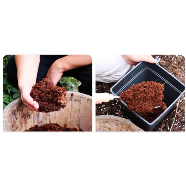 Coconut Fiber Baling Press Machine for 2024 in the Market 5Kg Cocopeat Block Making