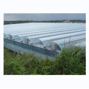 Quality Industrial Hydroponic Greenhouse with Super Strong Resistance Multi Span Greenhouse for sale