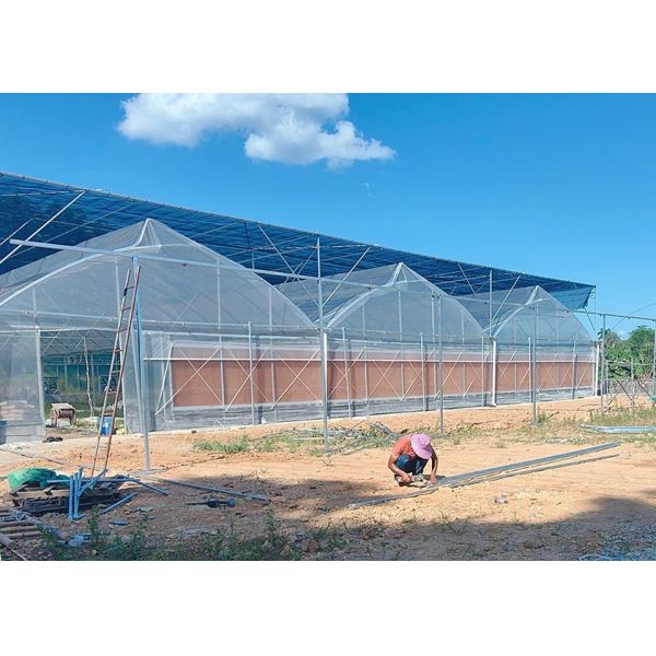 Easy-Assembly Galvanized Poly Multi-Tunnel Green House With Heavy-Duty Plastic Cover