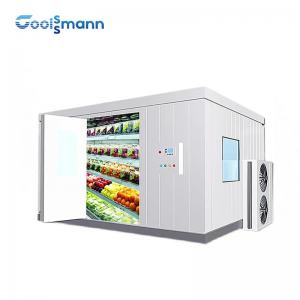 Quality Commercial Cold Room Freezer Container For Frozen Vegetable And Fish Seafood for sale