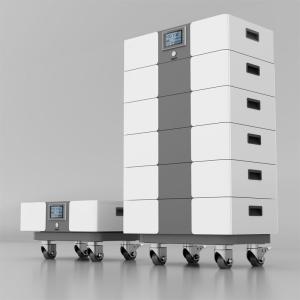 Quality 48V 51.2V Lithium Battery 200Ah for Solar Systems 48V and Long-Lasting Energy Storage for sale