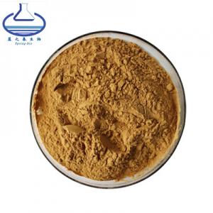 Quality Bacopa Monnieri Lutein Extract Powder 50% Bacoside Maintain Health for sale