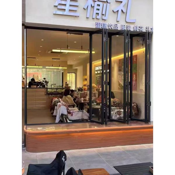 Modern Black Folding Windows - Architectural Statement Frames