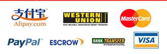 FCL 20FT 40HC Shipping Service from China to Europe 15-25 Days Transit