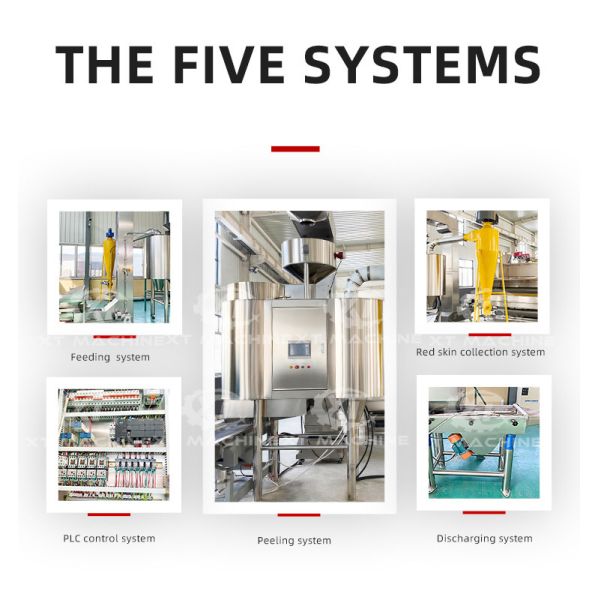 1000-1200 Kg/h Air Peanut Peeling Machine for Large Scale Production with PLC Control System and Blanched Peanut Output