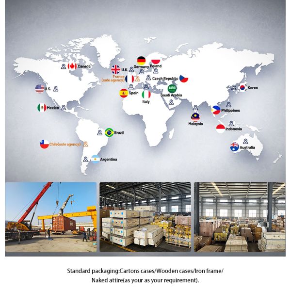 Dongfeng Truck Water Pump 1307KB-010 4935793 3960342 For Cummins 4BT Engine