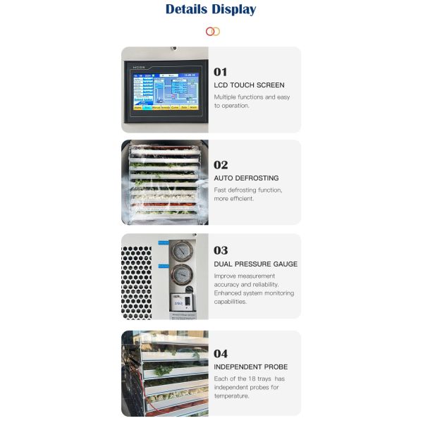 60-70 Kg / Batch Food Vacuum Commercial Freeze Drying Machine Freeze Dryer Lyophilizer