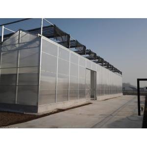 8mm PC Sheet Multi Span Agricultural Greenhouses For Sustainable Agriculture