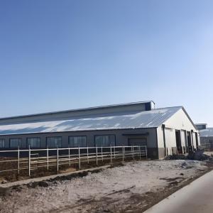China Weld Steel Structure Cow Shed Construction , Temporary Livestock Shelter on sale