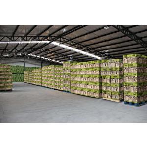 Suzhou WIDO Machinery Co., Ltd