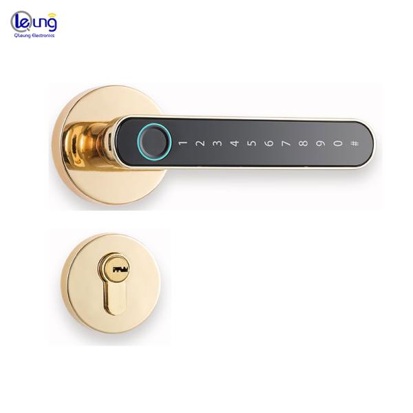Hotel Smart Door Lock Password Key Code Automatic Door Lock For Apartment