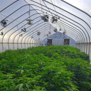 Quality Automatic Outside Shading Light Deprivation System Greenhouse OEM for sale