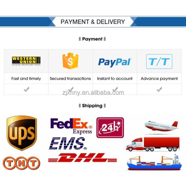 Headway 48V200Ah Lithium Battery for Telecom Battery 48V200Ah 5U Lithium Battery Pack